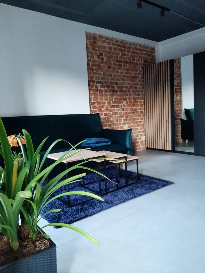 Apartamenty Gliwice Staromiejska 65 Exterior foto